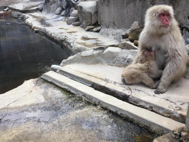 Jigokudani Onsen Korakukan Hotel Nakano  Luaran gambar